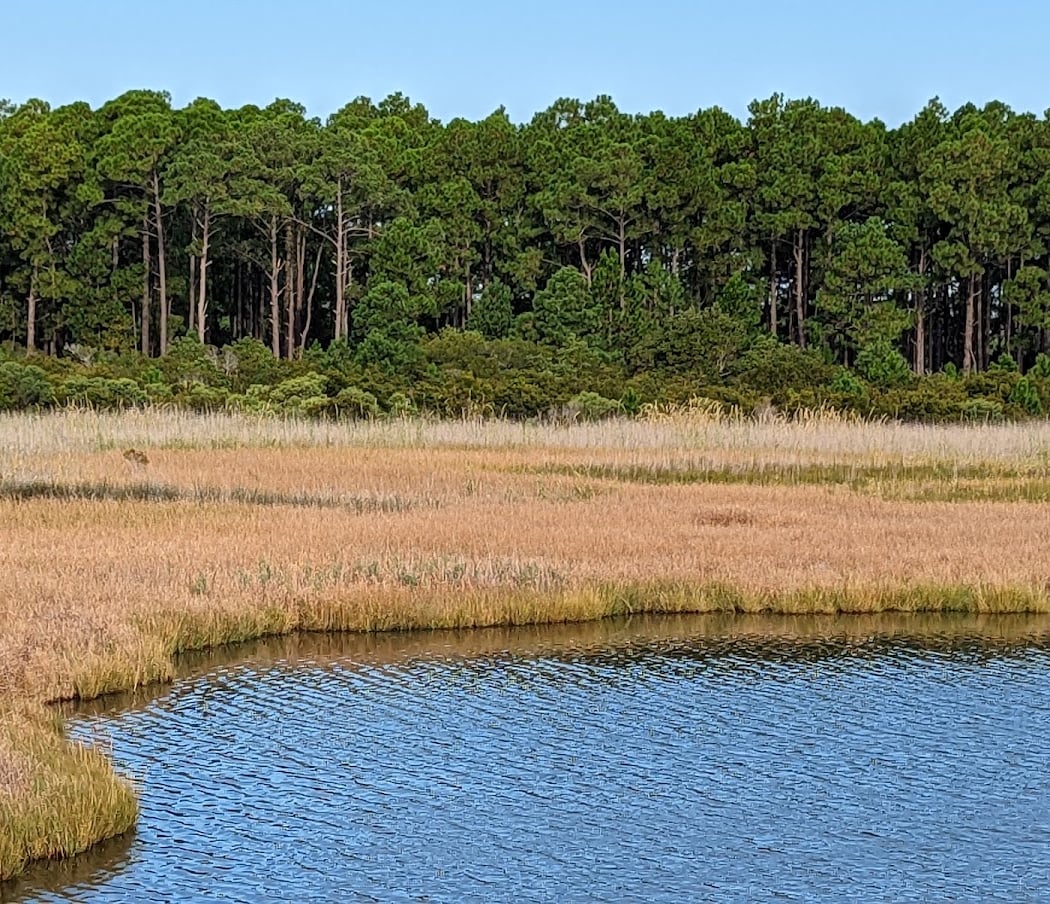 Cape Hatteras National Seashore 2