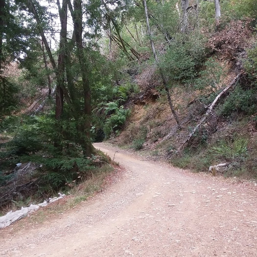 Old Railroad Grade Trail 3