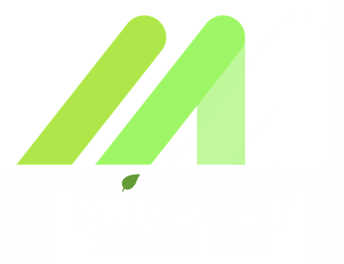 Mindset Martial Arts & Fitness 2
