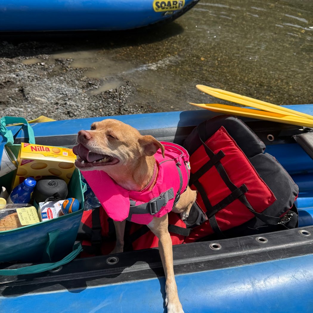 Russian River Adventures 1