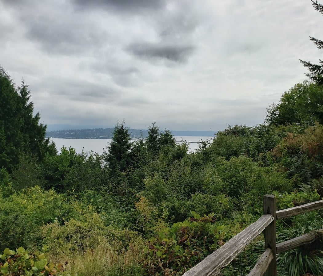 Leschi-Lake Dell Natural Area Restoration 2