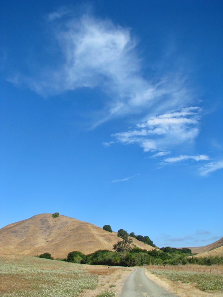 Nature Hike at Lynch Canyon 2