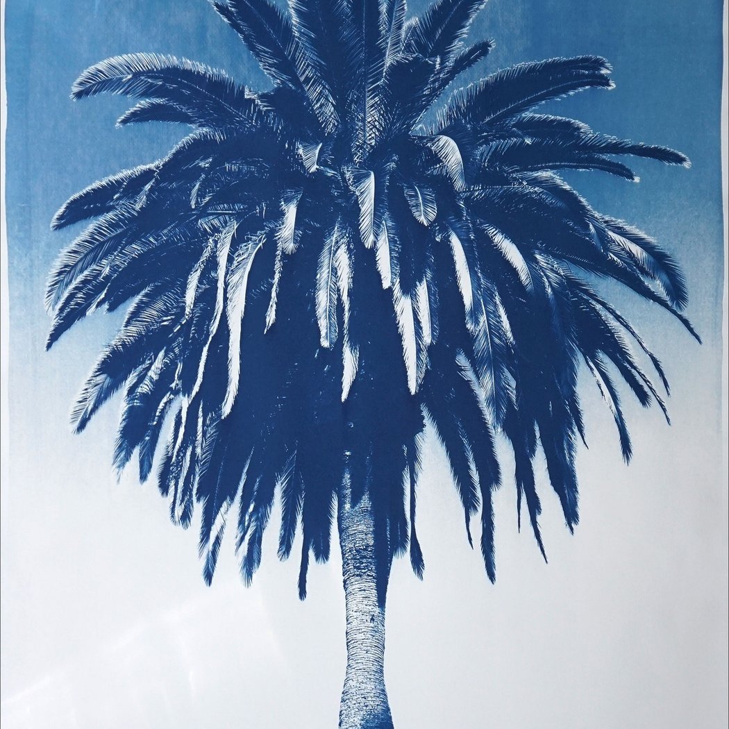 Sunlight Printing: Cyanotypes! 3