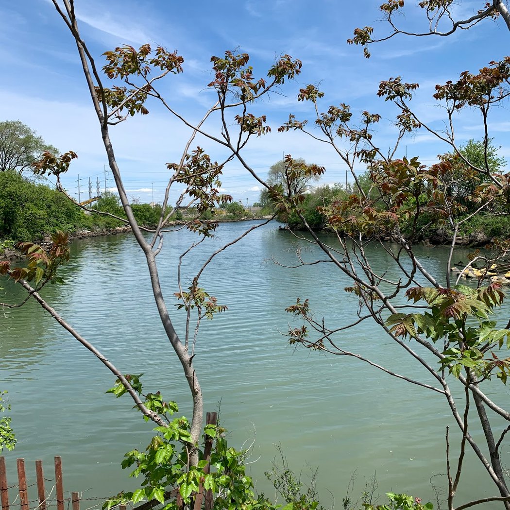 Luyster Creek 2