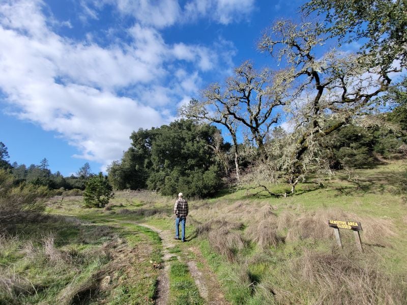 Castle Rock State Park 2