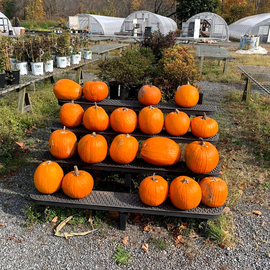 Boice Farm 2