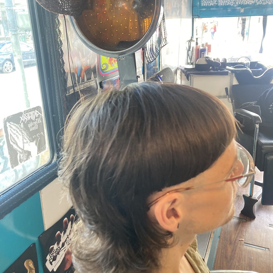 Hair and heavy metal 2
