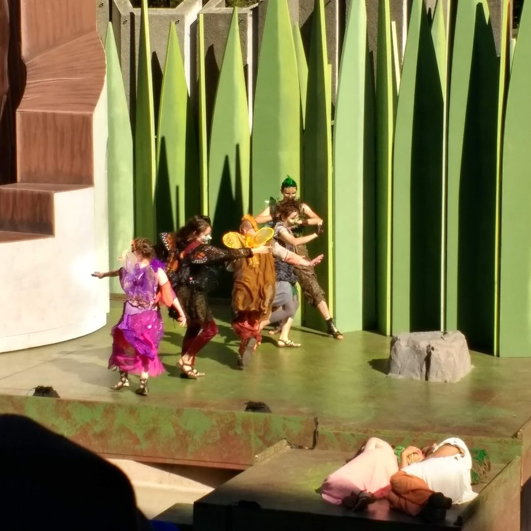 THE TWO GENTLEMEN OF VERONA 1