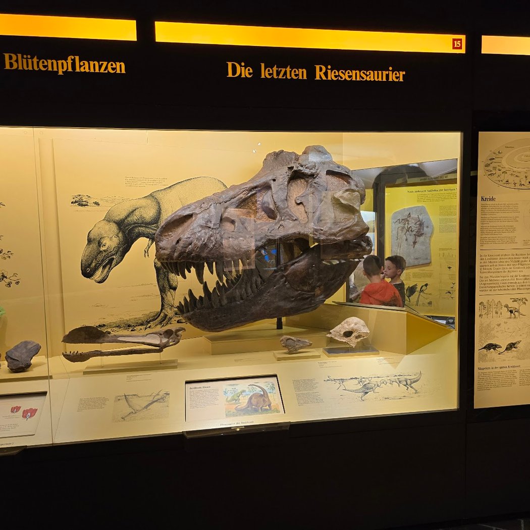Museum of Man and Nature 4