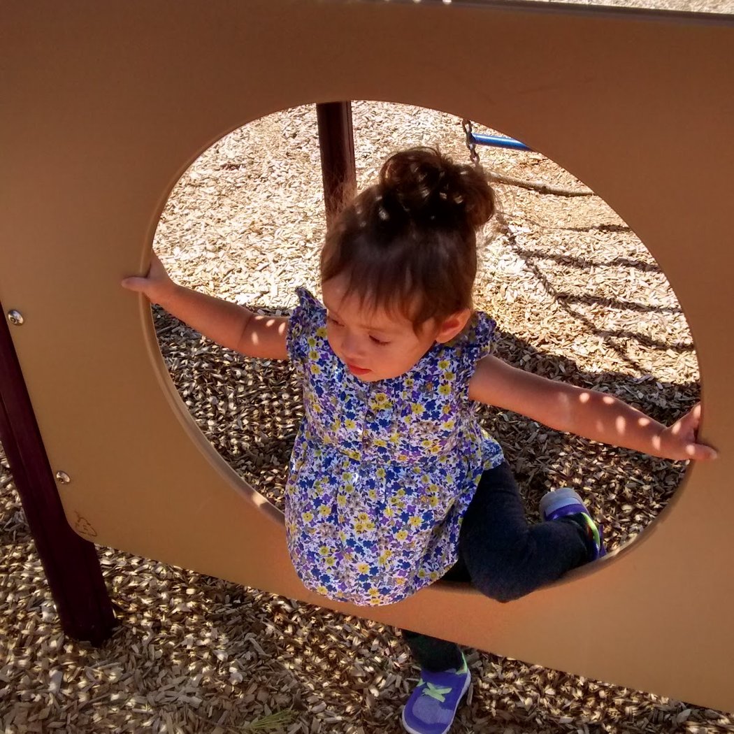 Caterpillar Park 1