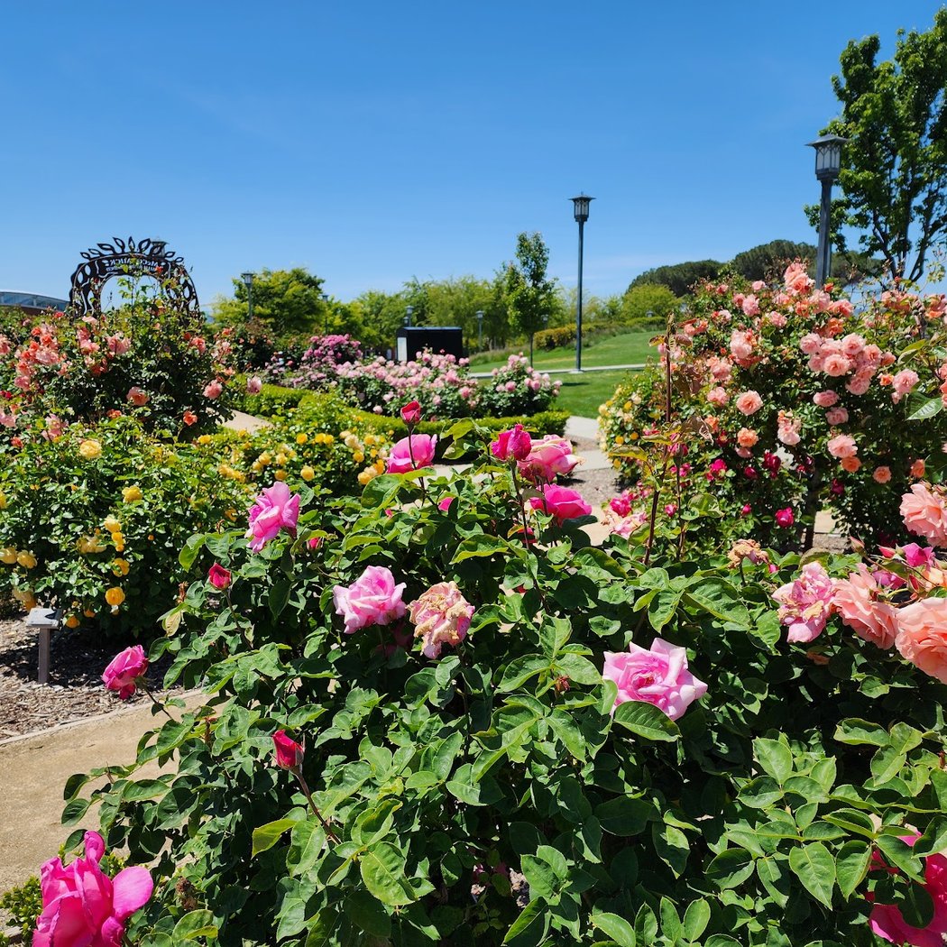 McCormick Family Community Rose Garden | Emerald Glen Park 1