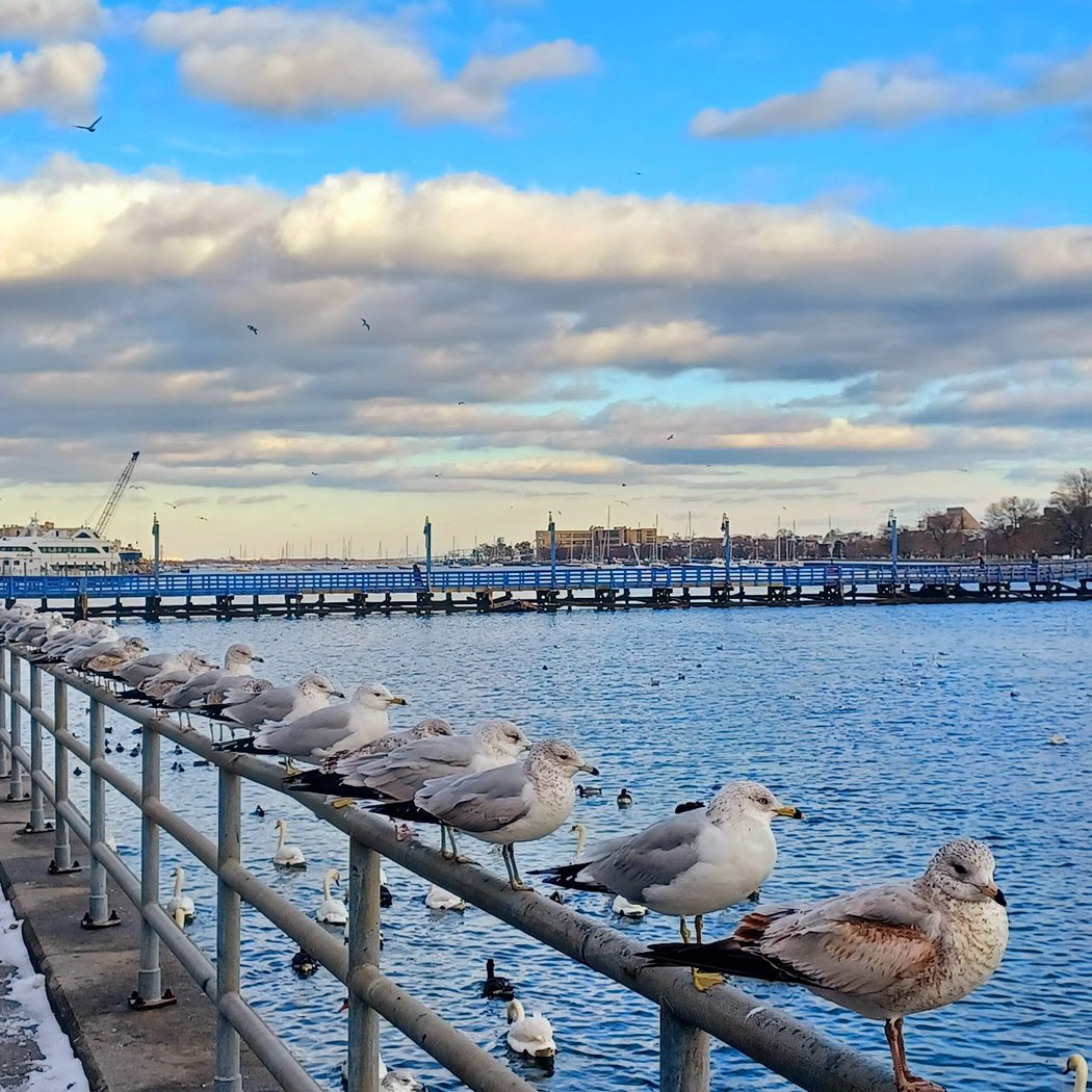 Sheepshead Bay Yacht Club 2