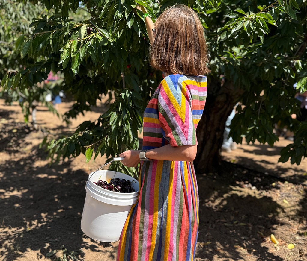 Summer Tasting and Orchard Tour