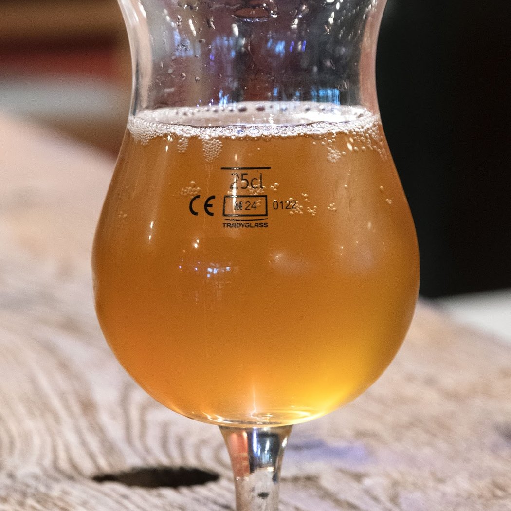 Visite et dégustation à la Brasserie De Sutter 3