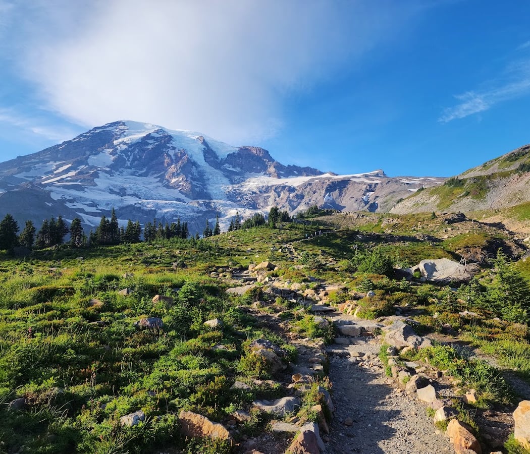 Mount Rainier National Park 1