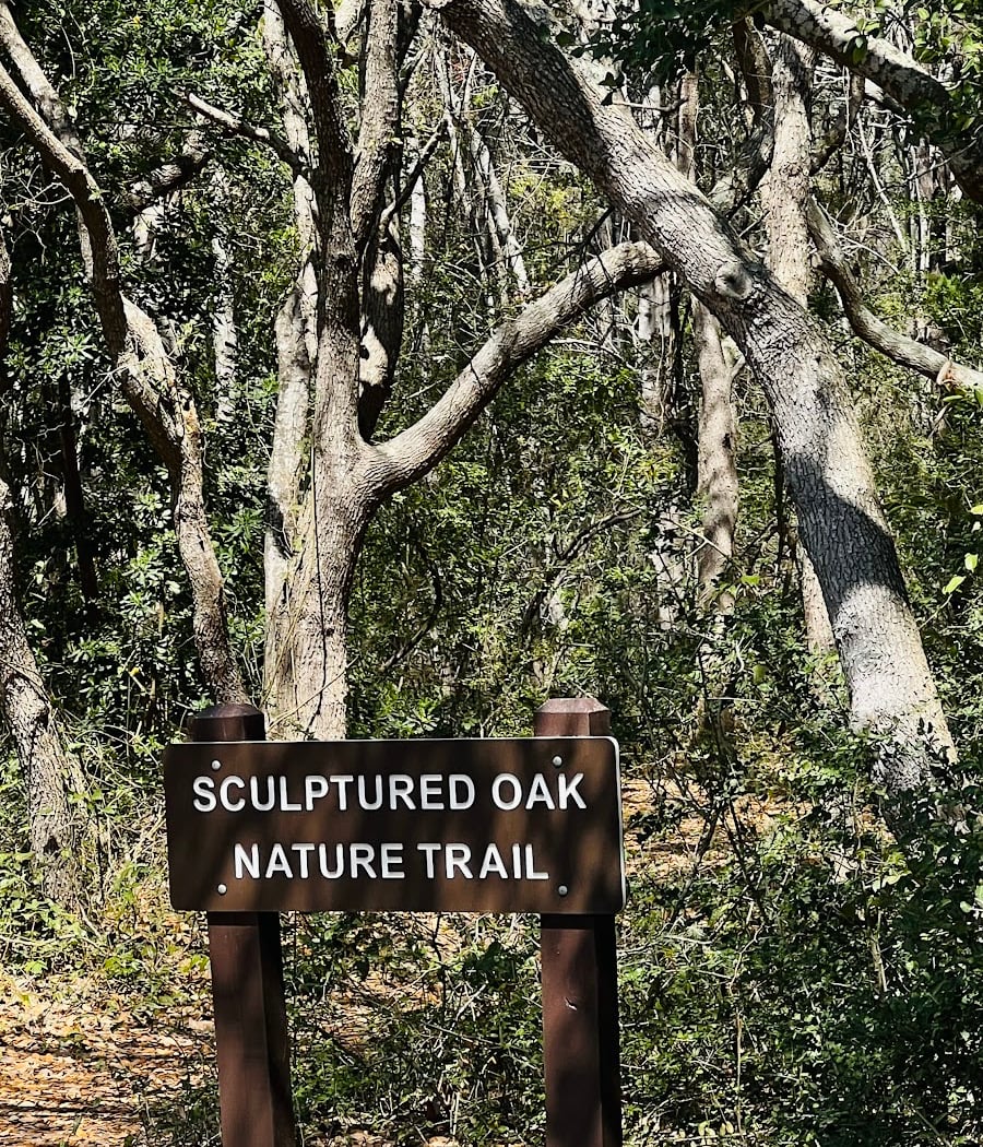 Myrtle Beach State Park – Creature Feature 1