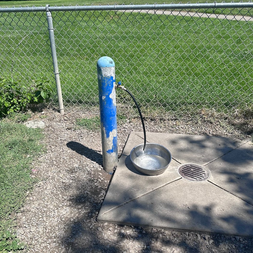 Meadow Vista Dog Park 3