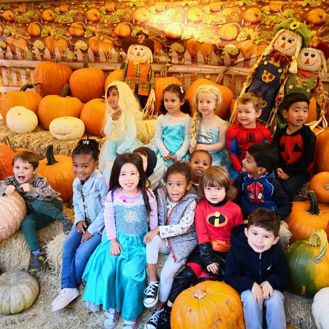 Piedmont Avenue Pumpkin Patch 1