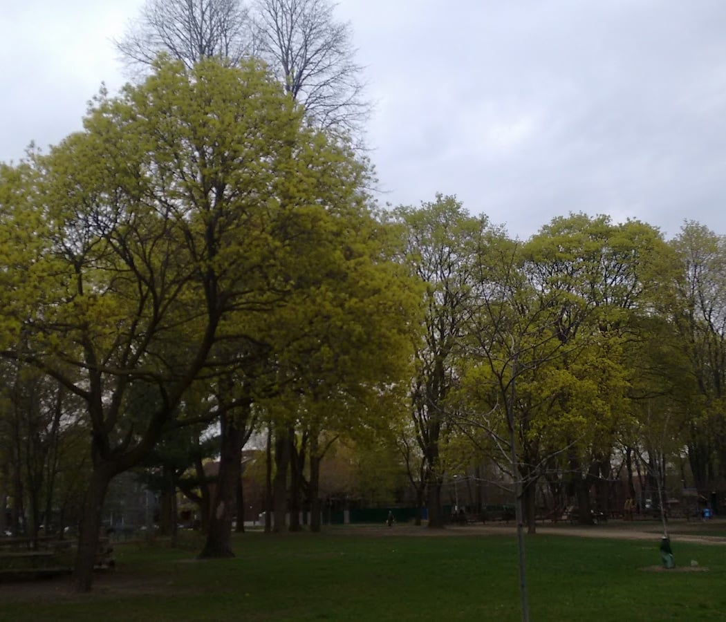 Dufferin Grove Park 3
