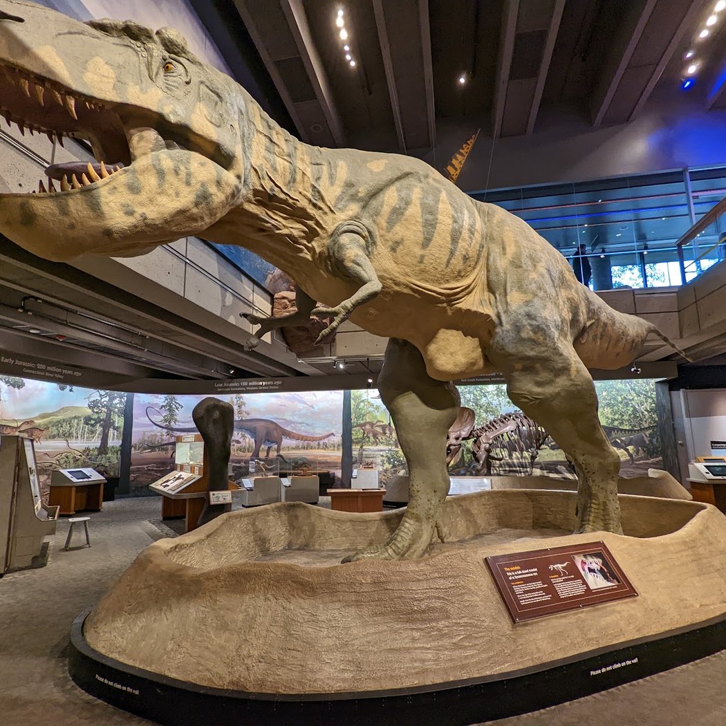 Museum of Science 1