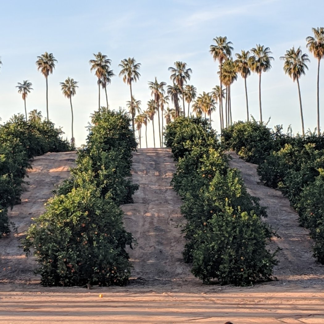 California Citrus State Historic Park Event 5