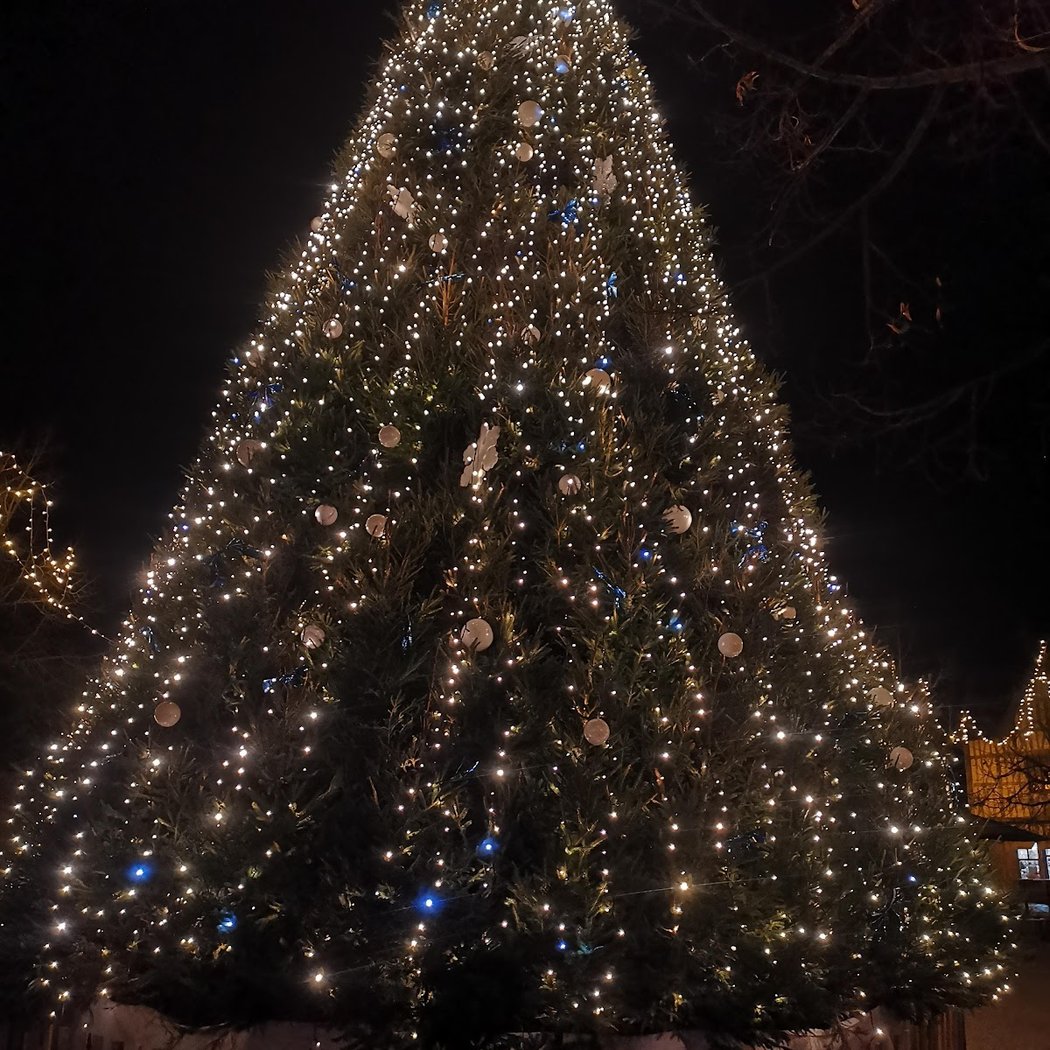 Marché Médiéval de Noël 3
