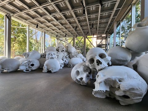 Matthew Barney SECONDARY 2