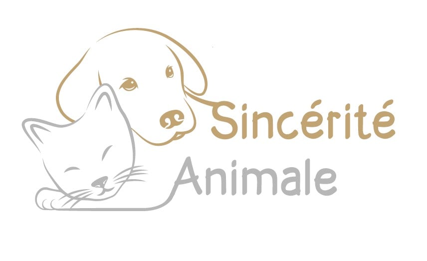 Sincérité Animale Educatrice Comportementaliste chien et chat 3
