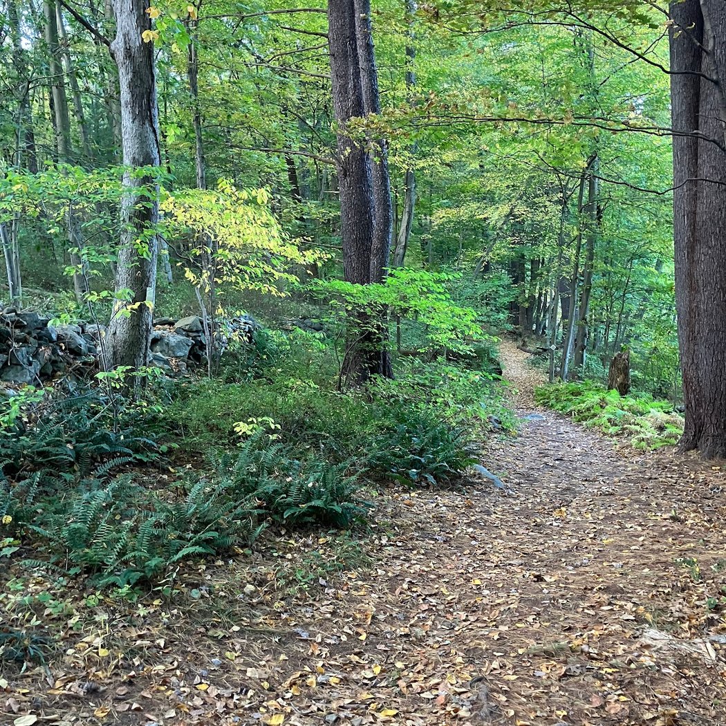 Westmoreland Sanctuary 2