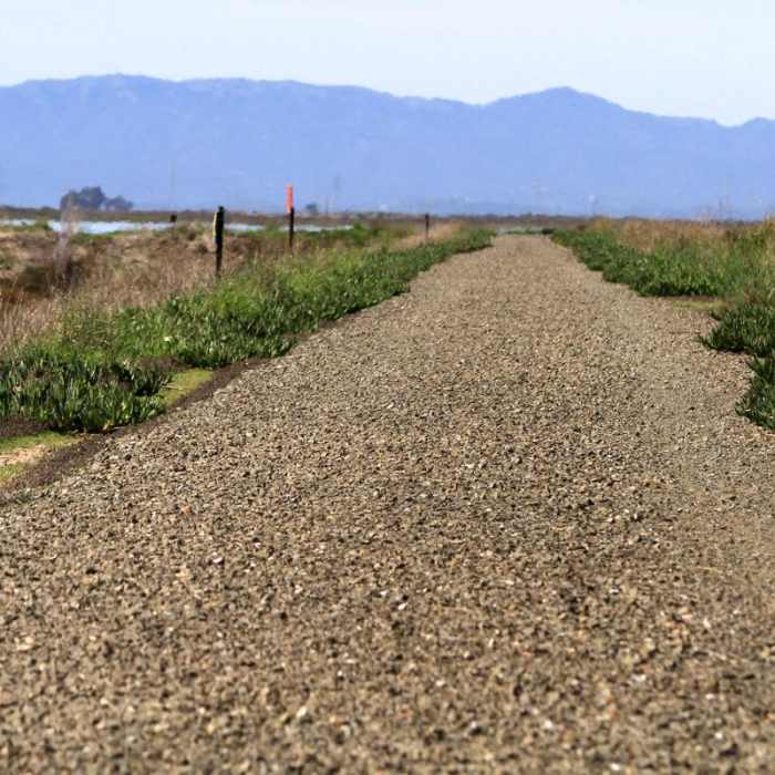 Napa River Trail 2