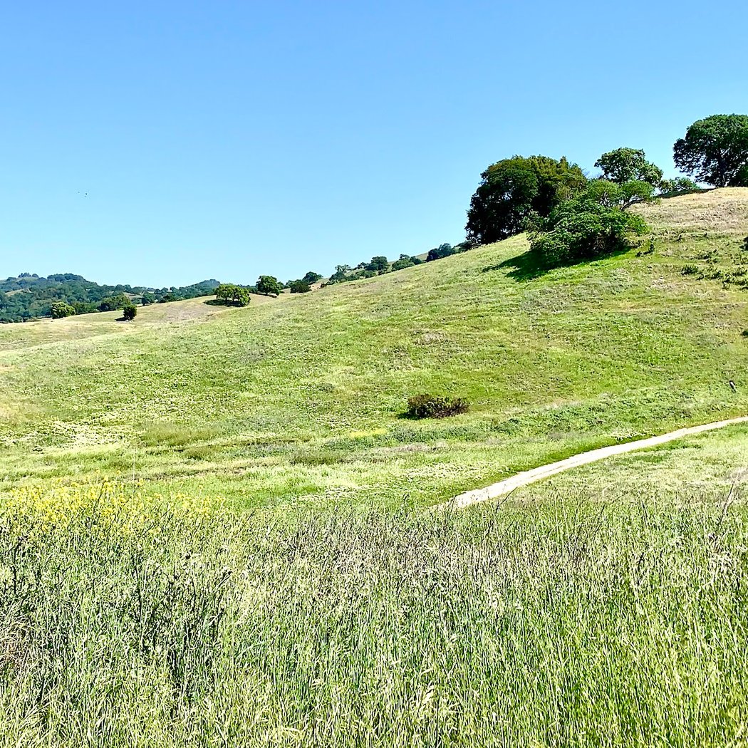 Rancho San Vicente Parking Area 2