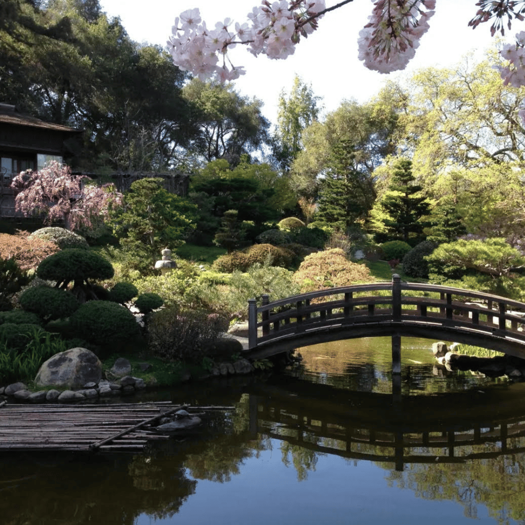 Landscaping Design: Cultivating Harmony 1