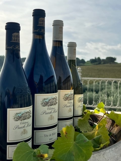 Château Puech-Haut 3