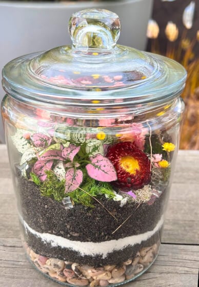 Closed Eco-System Terrarium Class 3