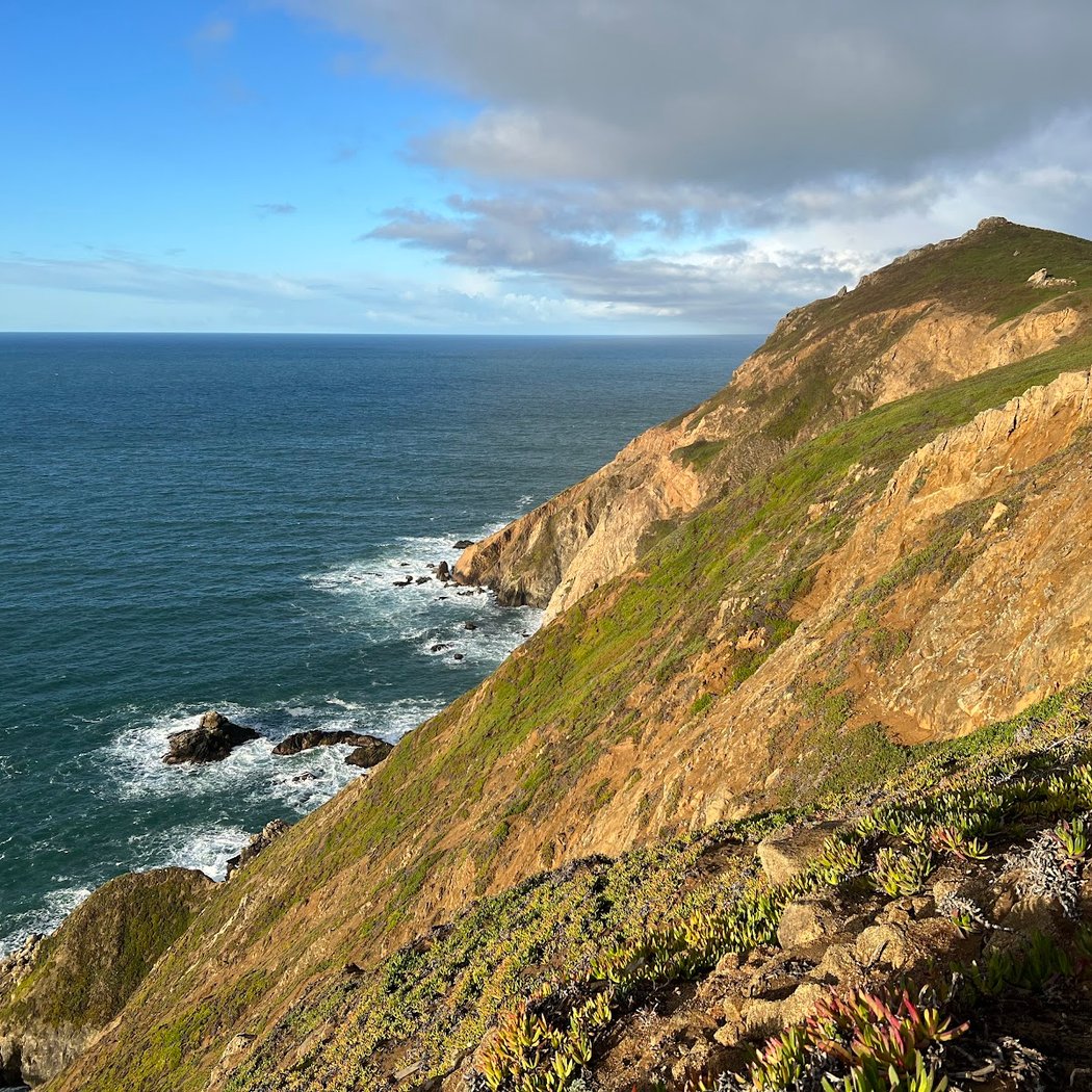 Sea Lion Overlook 1