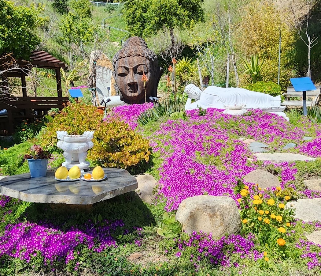 THIÊN LONG SƠN - THE DRAGON MOUNTAIN 1
