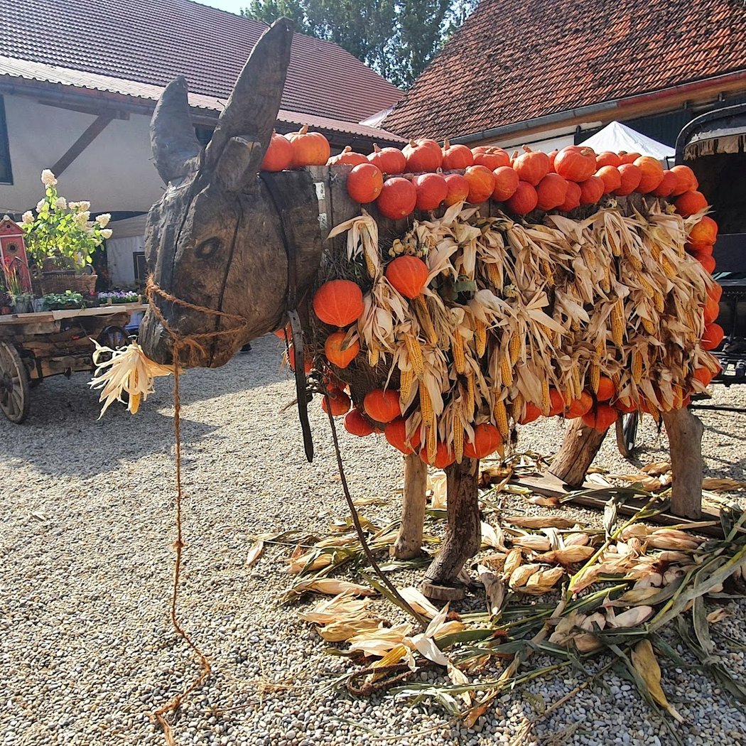 Kunst & Kürbis 1