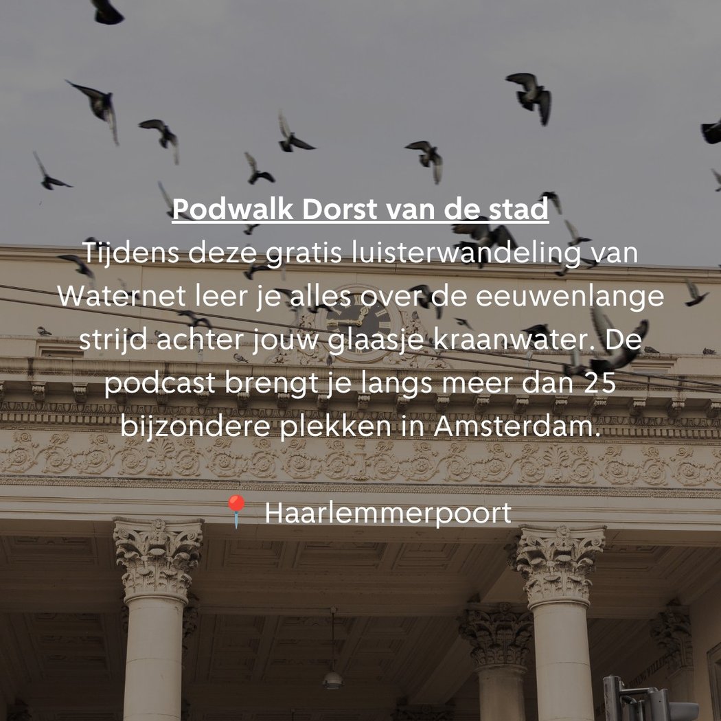 Lokaal van de Stad