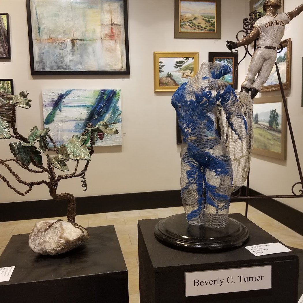 Blackhawk Gallery 3