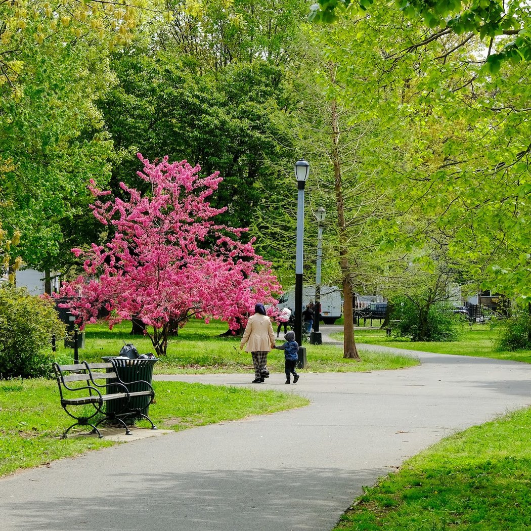 Amersfort Park 1