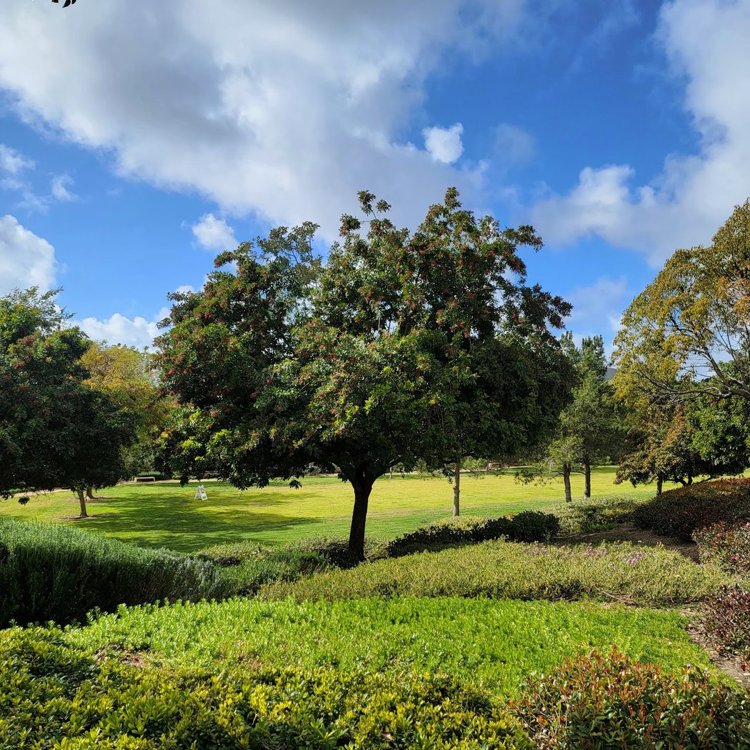 Mulberry Park 1
