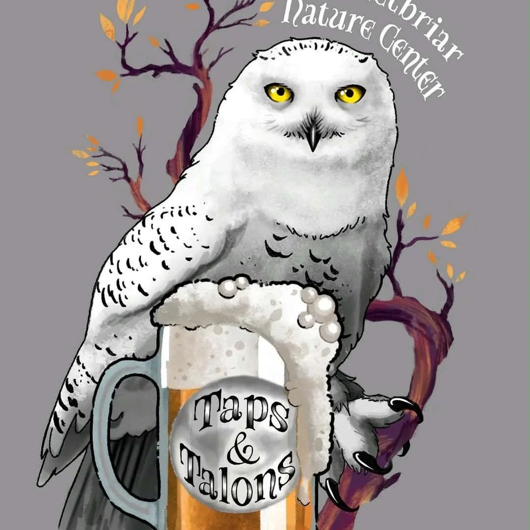 Taps and Talons 1