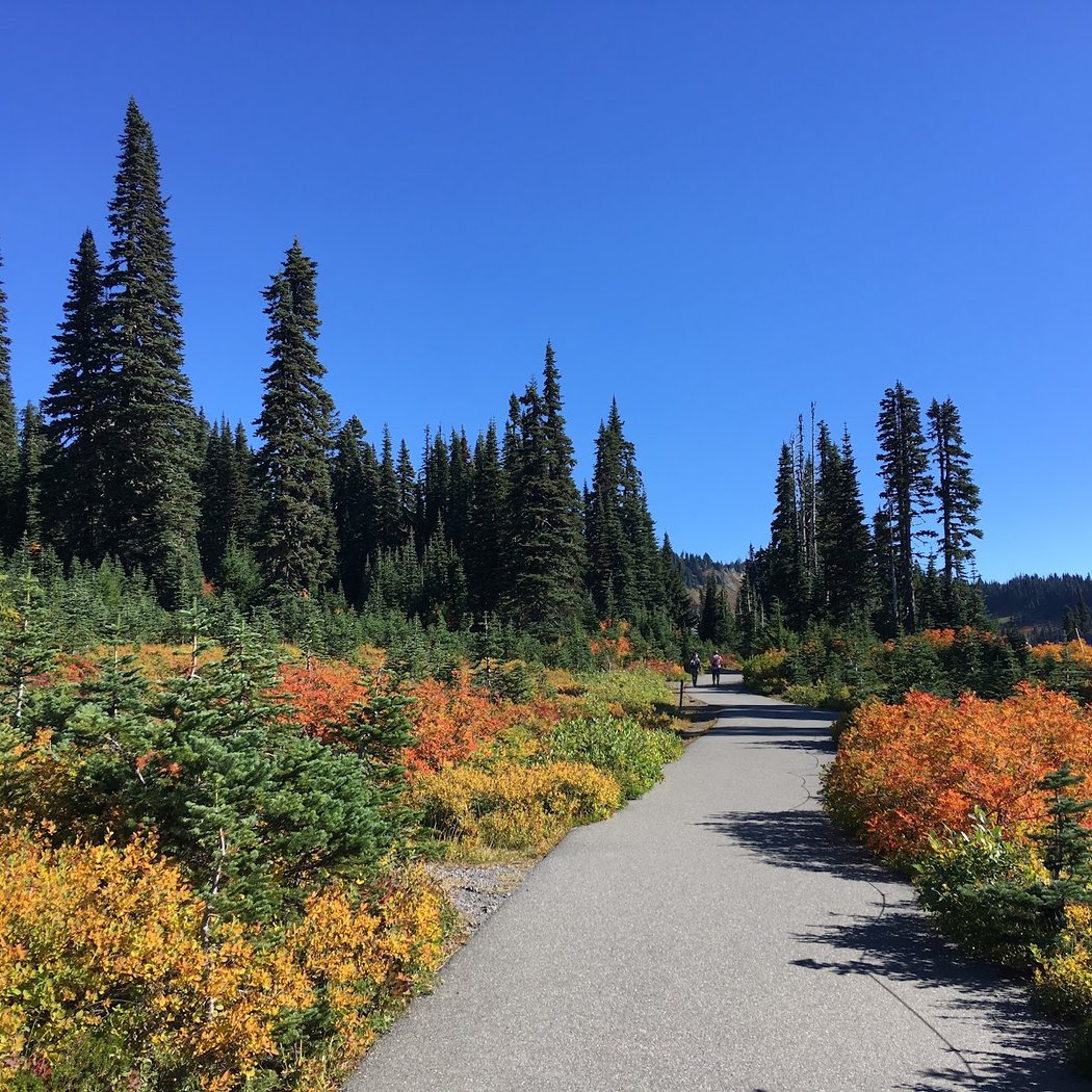 Skyline Trail 2