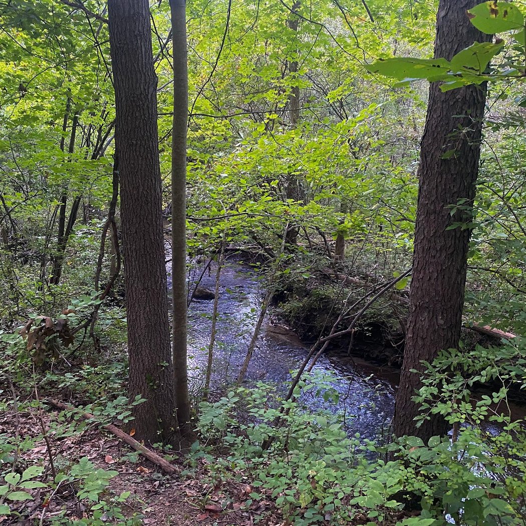 Dominican Meadows 3