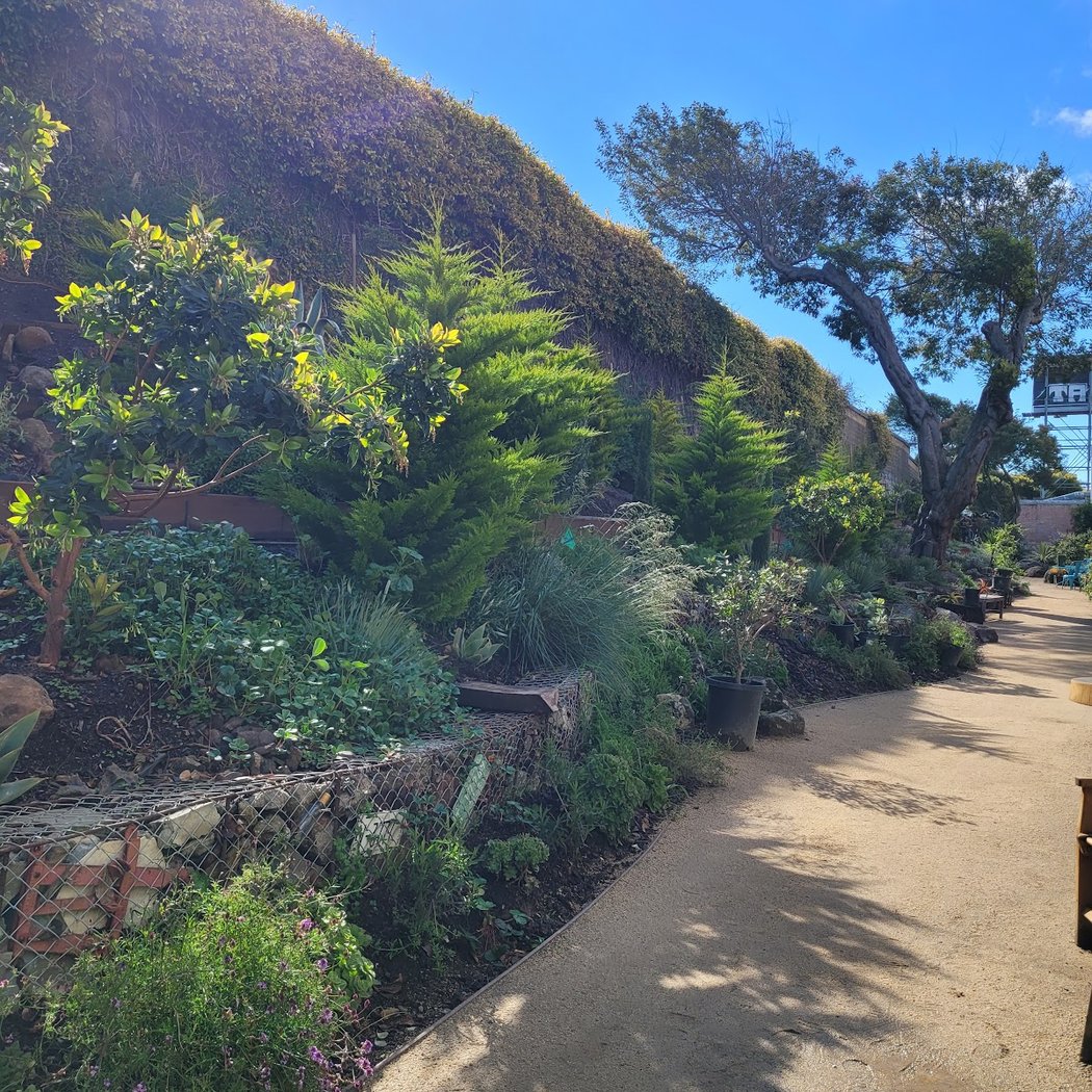 Portola Garden Club Volunteer Day 3