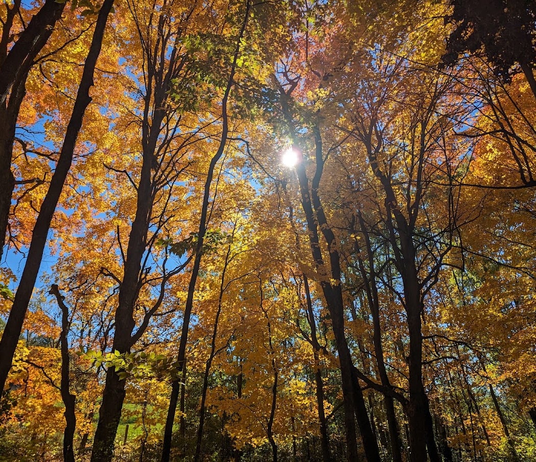 Minooka Park 1