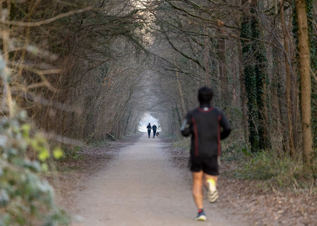 Trail le Pouce 2
