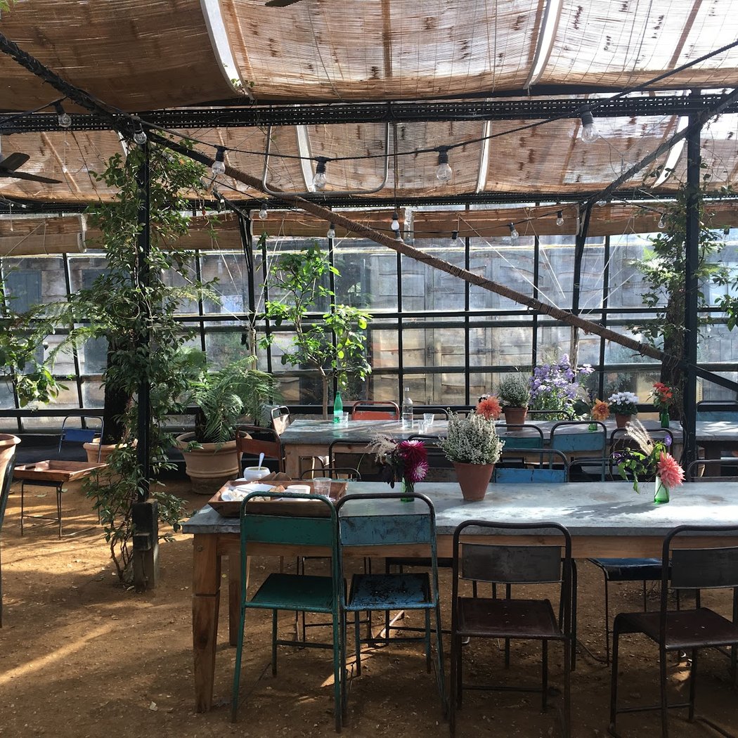 Petersham Nurseries 3