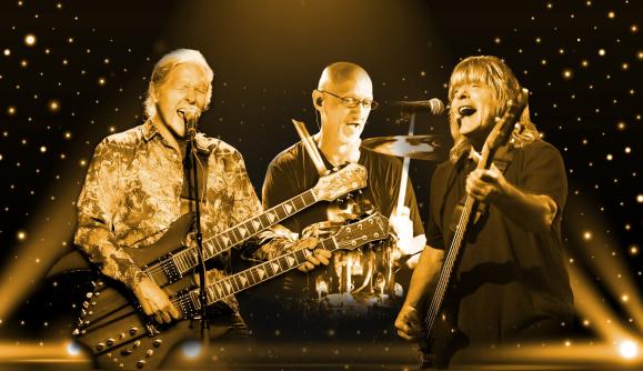 ZEBRA: 50th Anniversary Tour 2