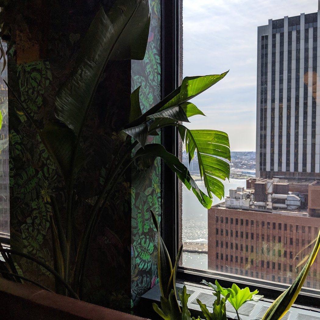 WeWork 1